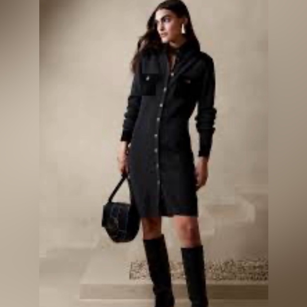 Banana Republic Merino Wool + Suede Sweater Dress, Size Small Tall